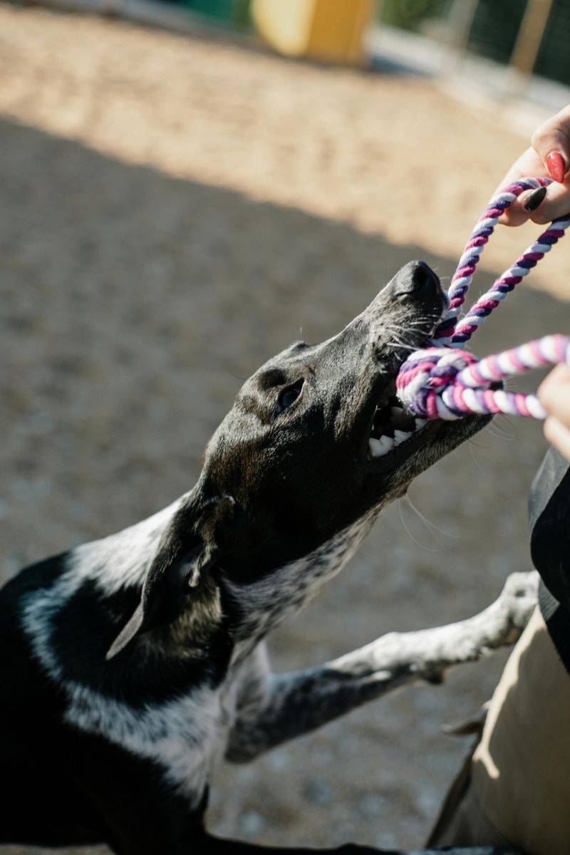 Biting during play