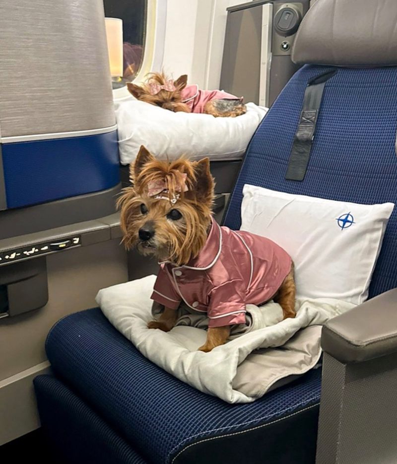 Maintain a Comfortable Room Temperature