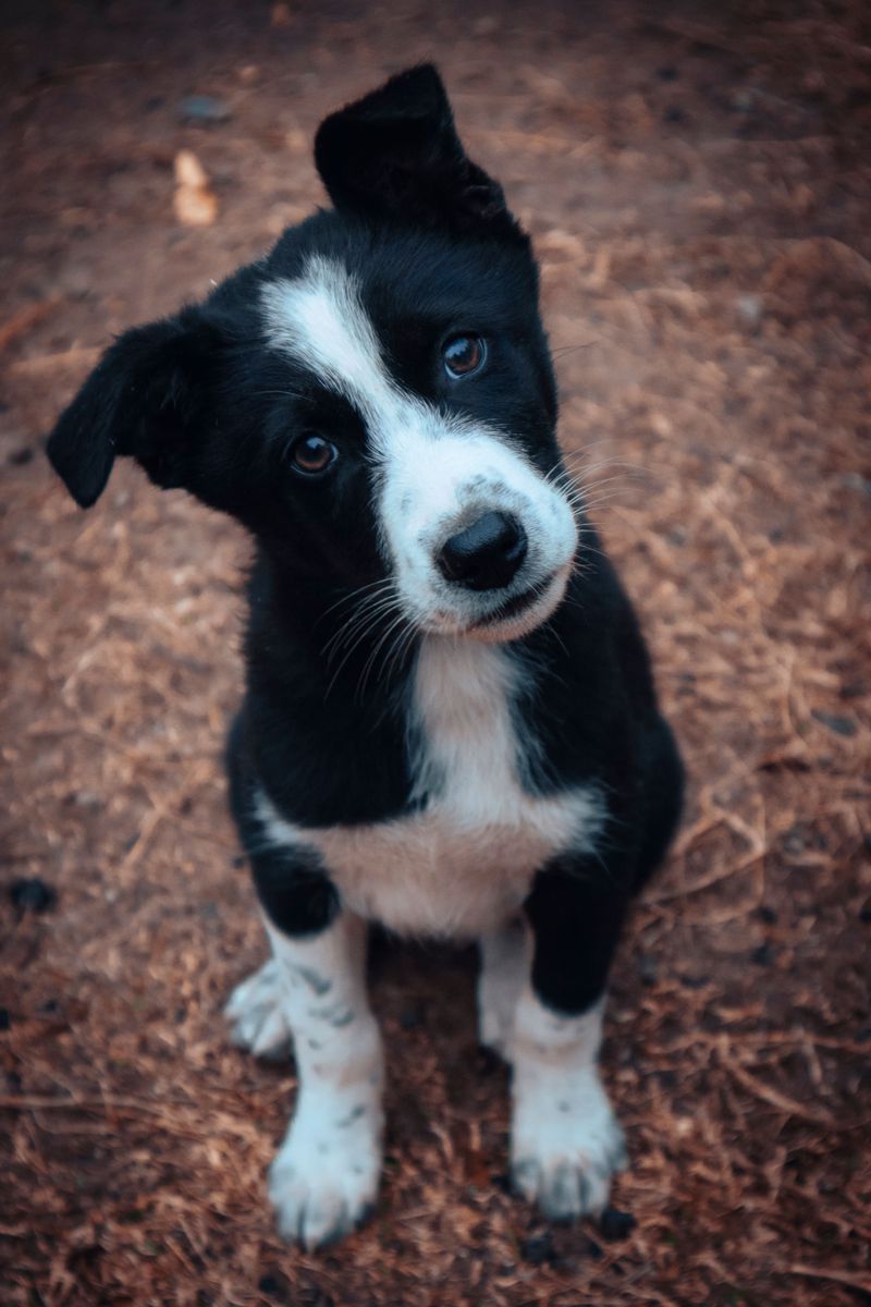 Head tilts when you talk