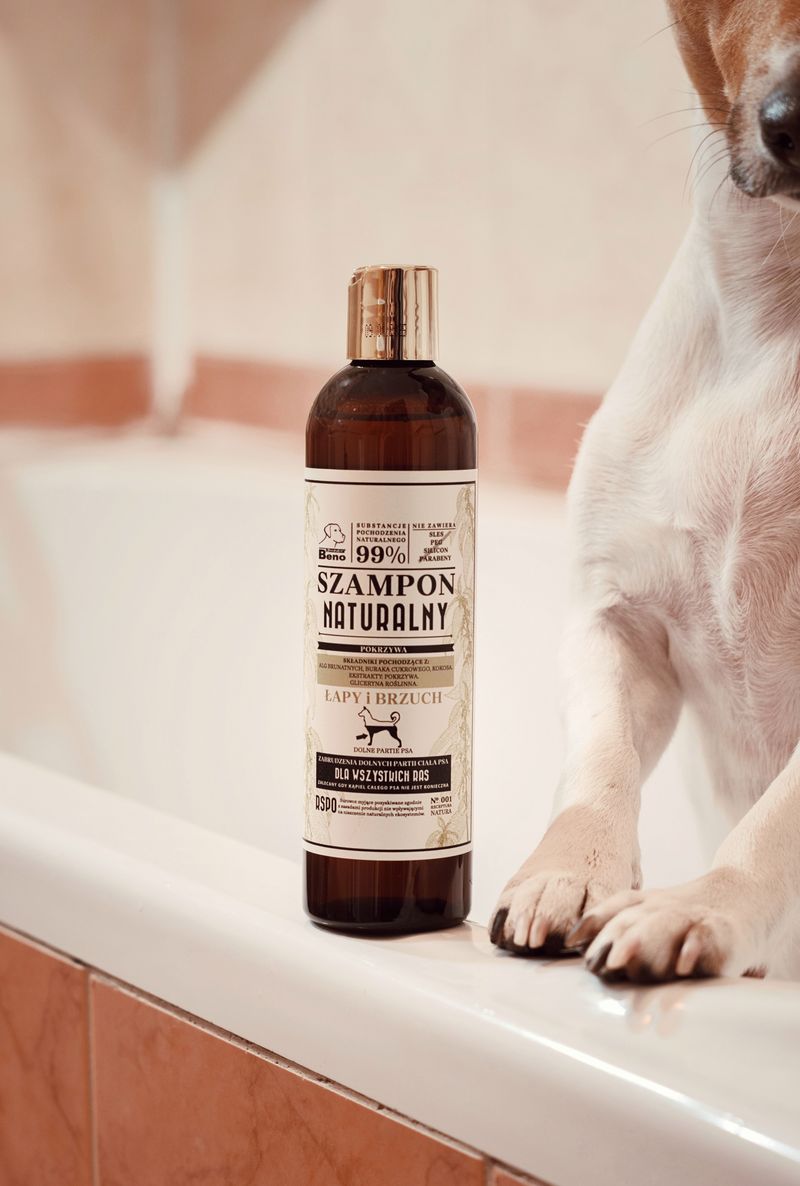 If your dog hates baths, these 9 changes make grooming day peaceful again 7 Choose a Mild Dog Shampoo