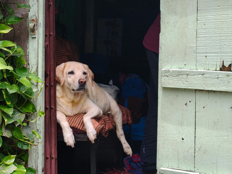 Stay Calm and Think Clearly