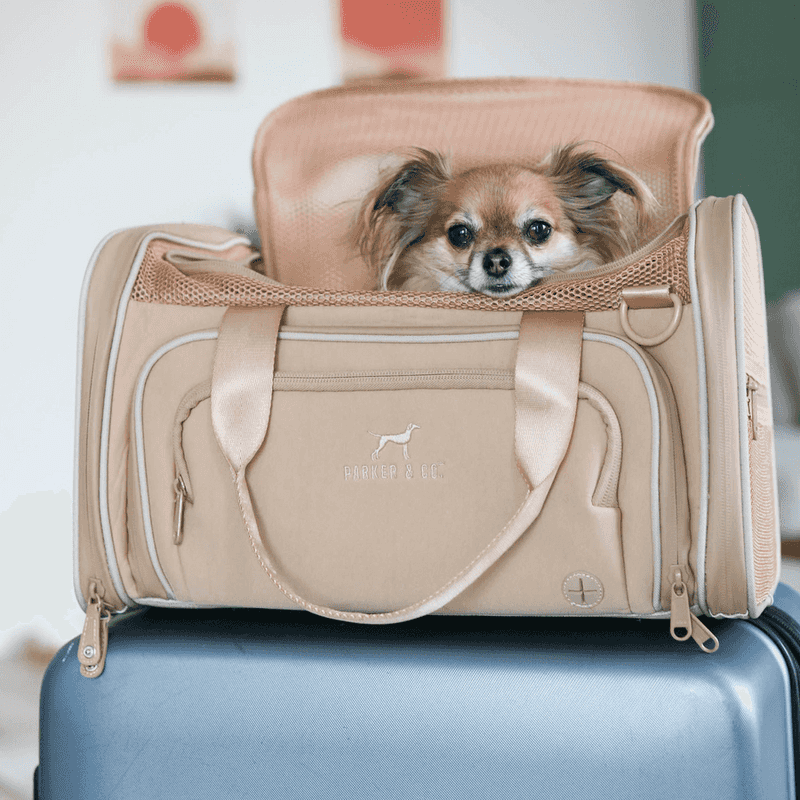 Jet Sitter Luxury
