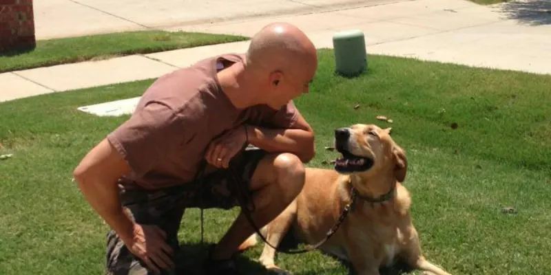 10 powerful signs your dog experiences emotions more deeply than most breeds 2 Reacting strongly to your mood changes