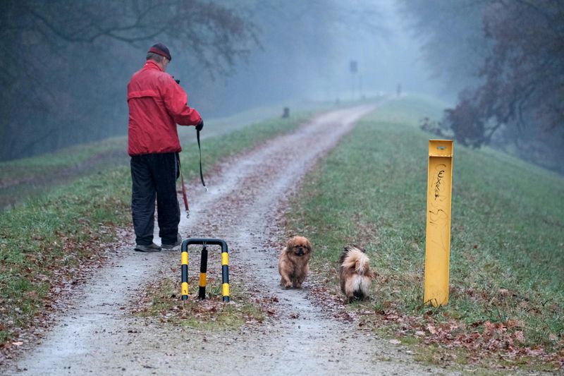 Fog-free scent walks