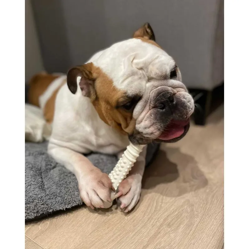 Nylabone Power Chew Double Action
