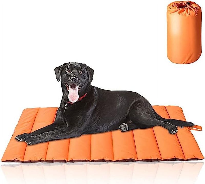 Portable Dog Bed