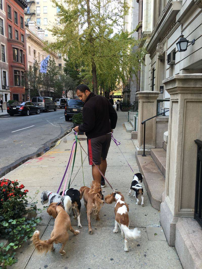 If walks feel stressful, one of these 11 mistakes could be the reason 2 Using the wrong equipment