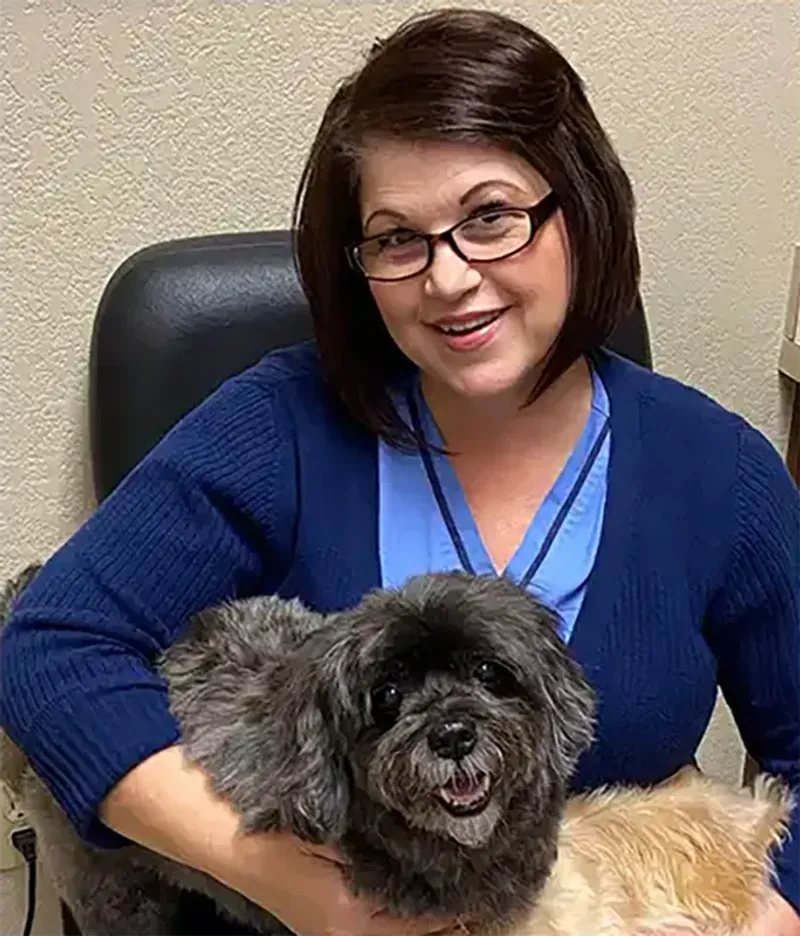 10 deeply attached dog breeds that stay glued to their humans constantly 9 Havanese