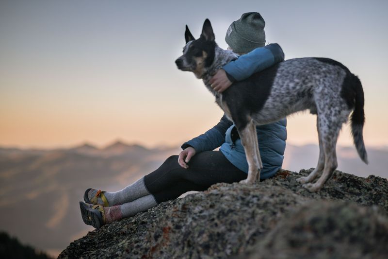 Long-lived dog breeds really do exist, and these 11 often reach 15 or older 7 Australian Cattle Dog