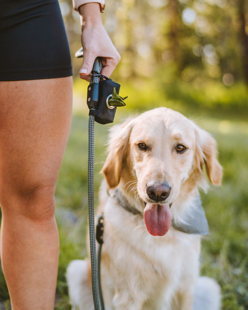 Leash with Waste Bag Dispenser