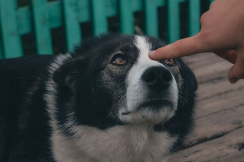 Gentle eye contact