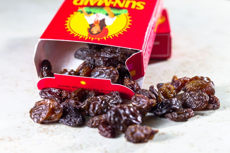 Every dog owner should know these 13 dangerous foods before it's too late 4 Raisins