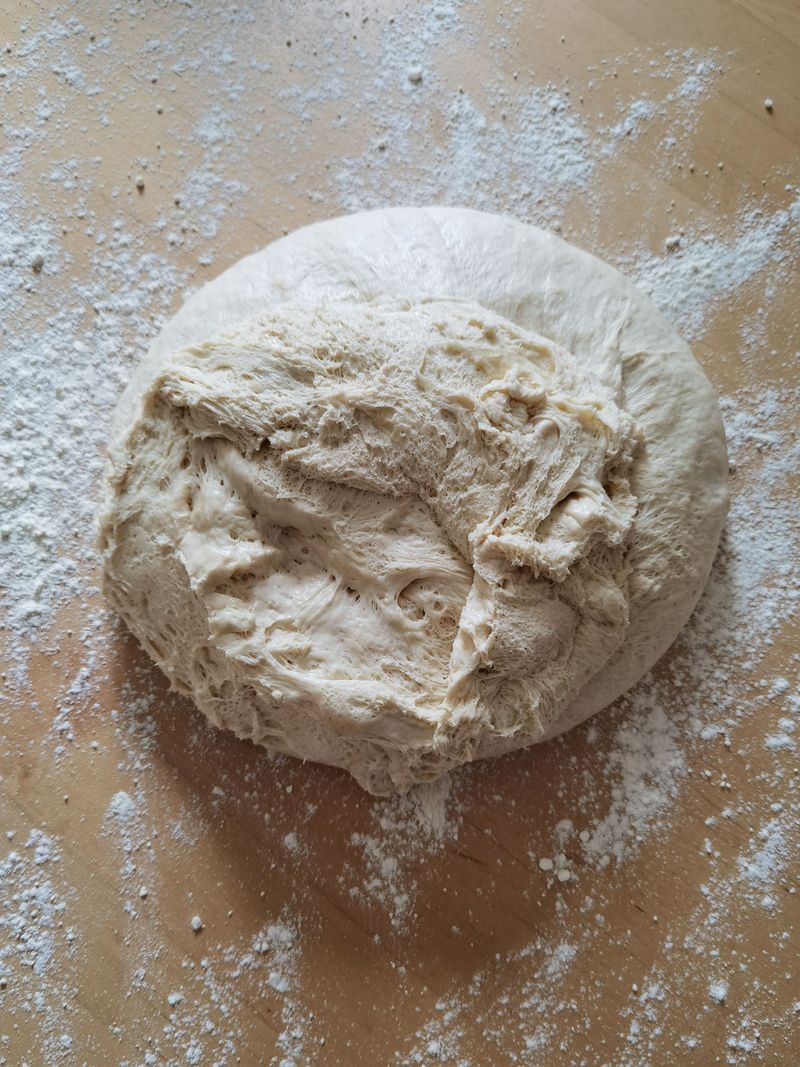 Every dog owner should know these 13 dangerous foods before it's too late 11 Raw yeast dough