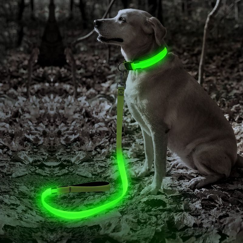 Glow-in-the-Dark Leash