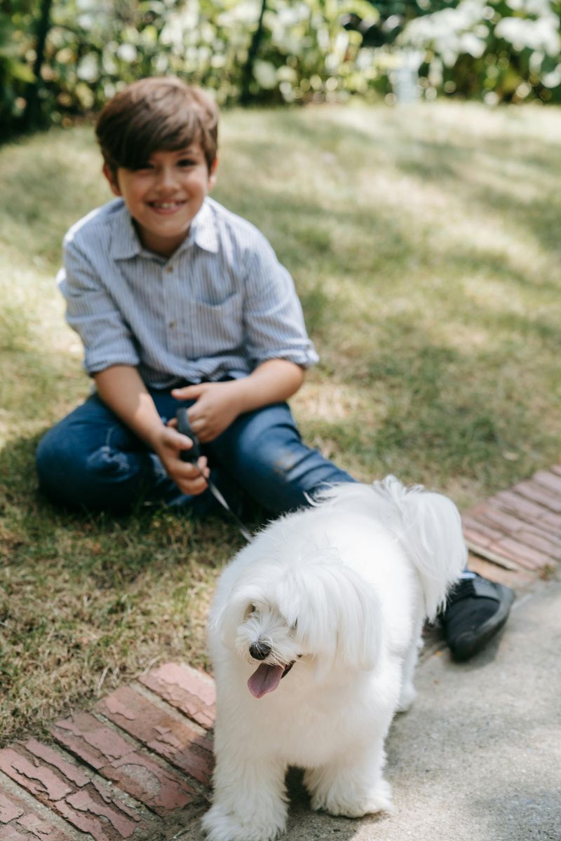 11 dogs made for today's world - plus 4 that still belong in wide-open spaces 8 Coton de Tulear