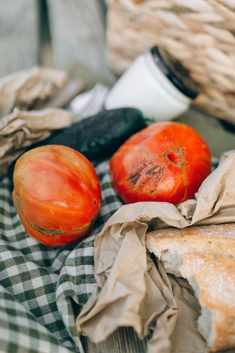 Every dog owner should know these 13 dangerous foods before it's too late 13 Moldy food