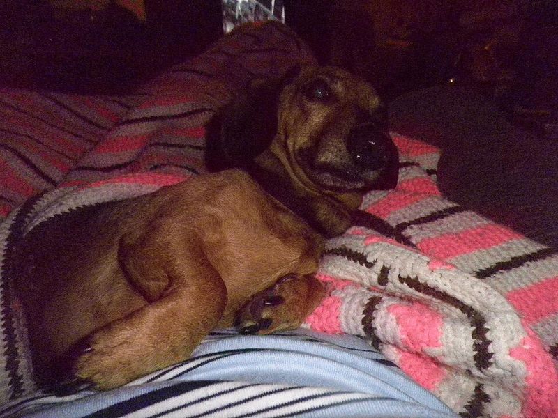 Can Be Territorial with Their Space