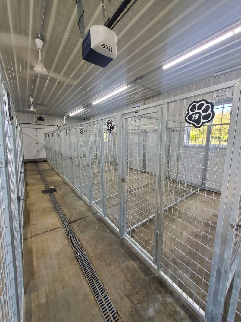 Boarding and Pet-Sitting Services