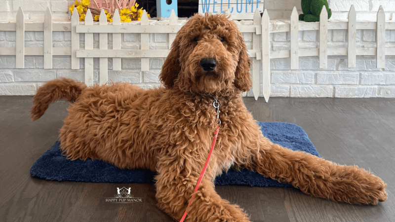 Lack of decompression time