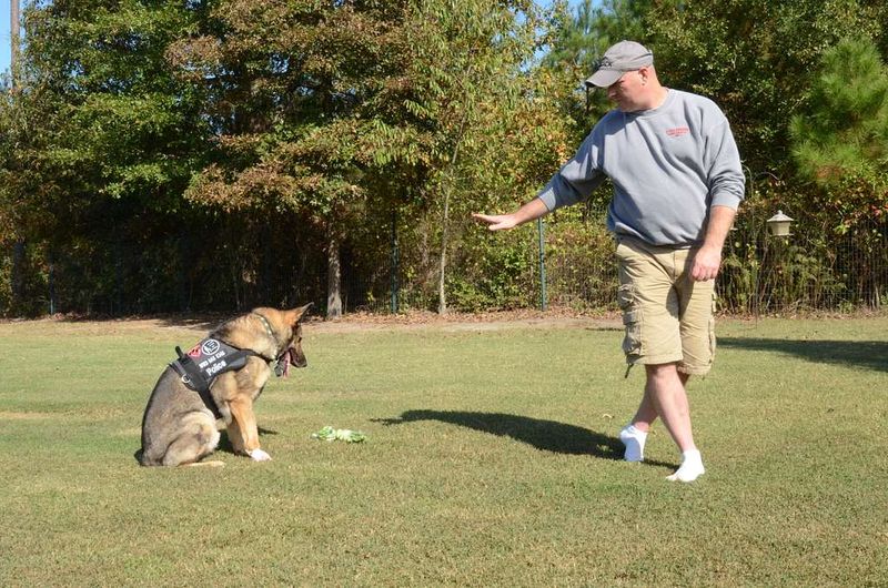 Police training makes them dangerous pets.