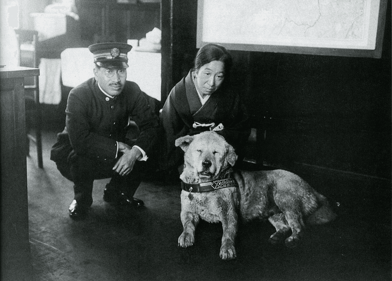 Hachikō – The World’s Most Famous Akita