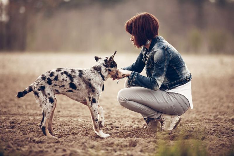 Refusing affection