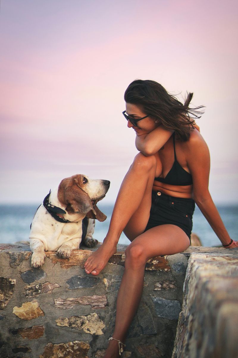 Not All “Easy Dogs” Are the Same - 12 Breeds With Totally Different Strengths 4 Basset Hound