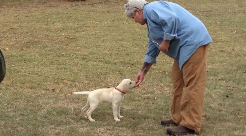 Reinforcing Calm Behavior at the Right Moment