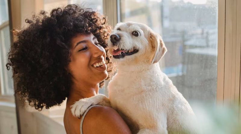 11 beautiful signs your adopted dog no longer feels abandoned or afraid 11 Greeting you happily