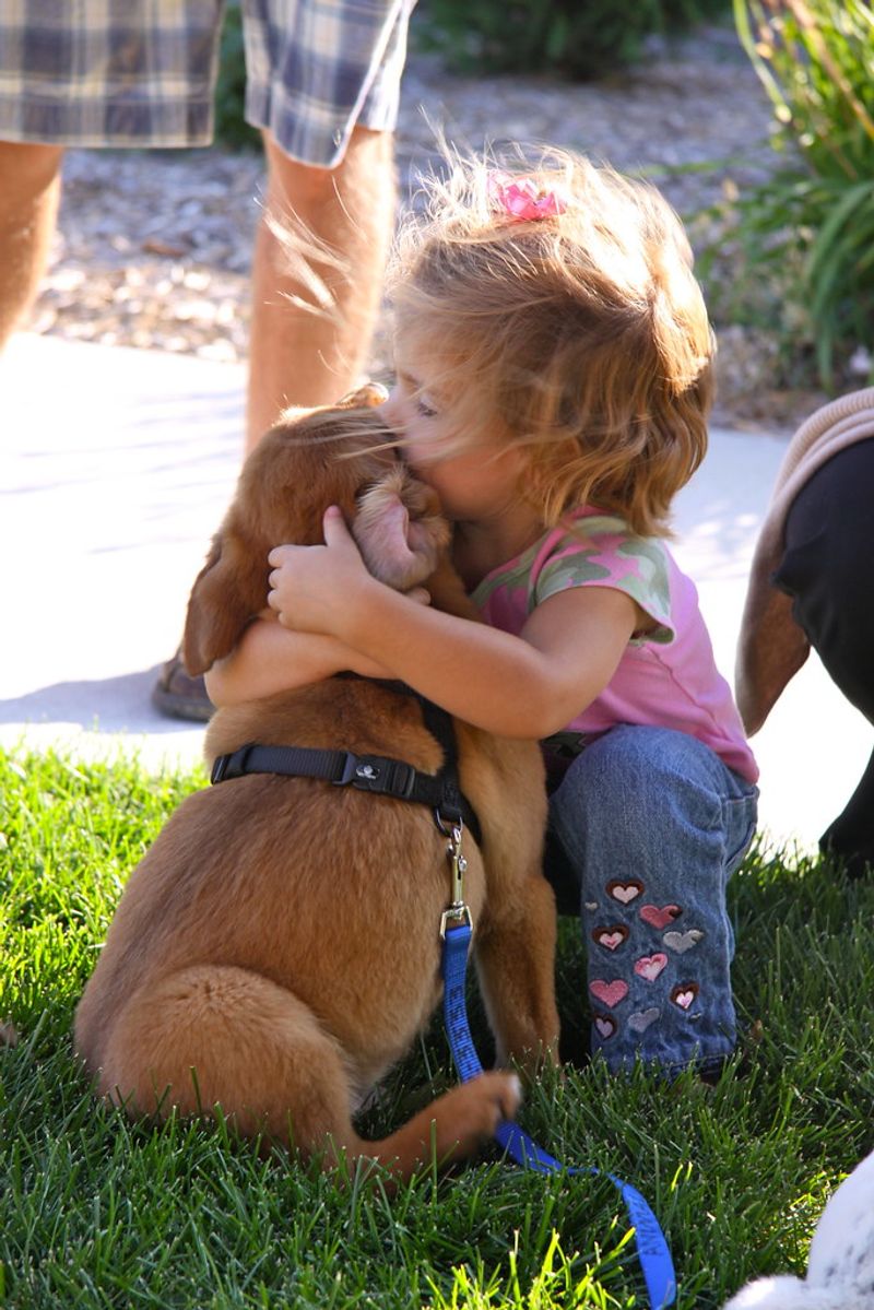 Myth 14: Shelter dogs don’t get along with kids.