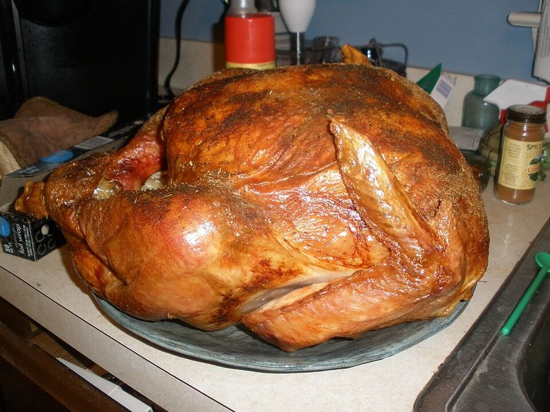 Plain Cooked Turkey