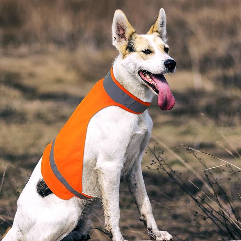 High-Visibility Safety Vest