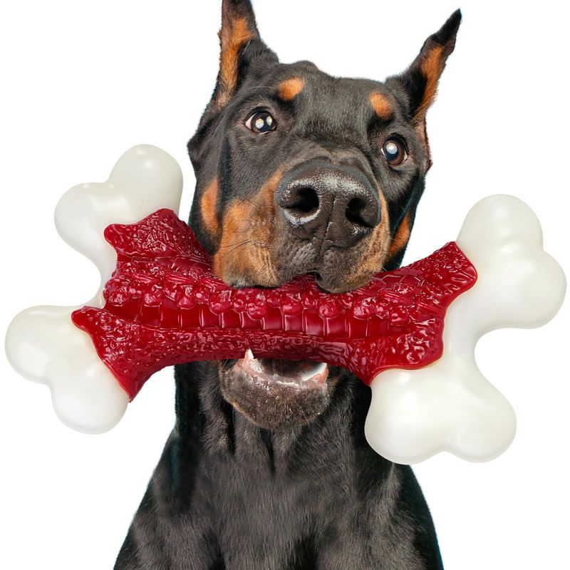 Chew-Proof Dog Toy