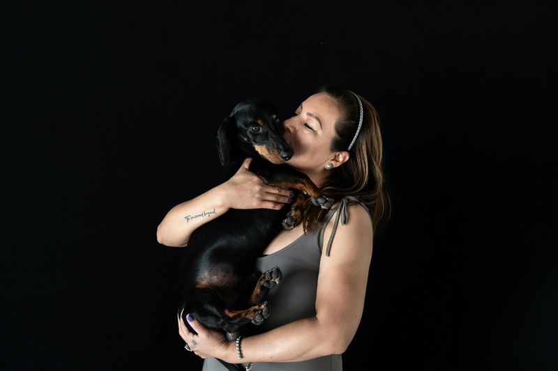 Dachshund