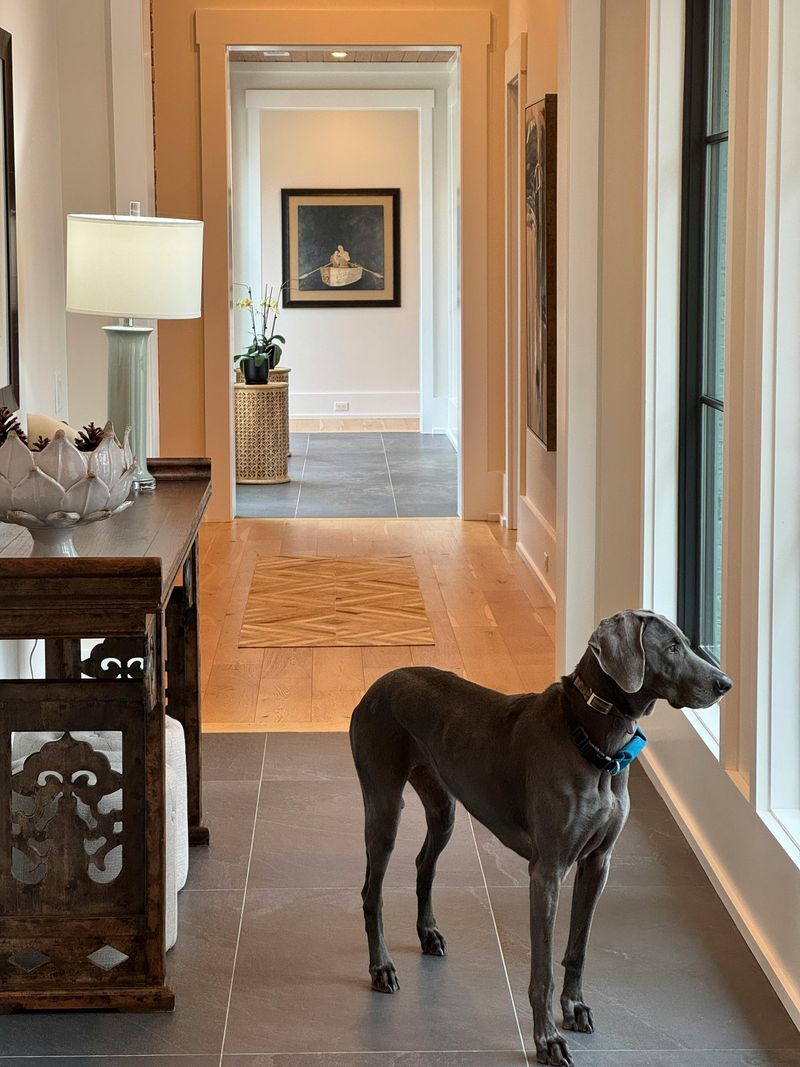 Dogs Don’t Always Seek Comfort the Same Way - 11 Patterns Owners Often Miss 5 Leaving the Room When Tension Rises