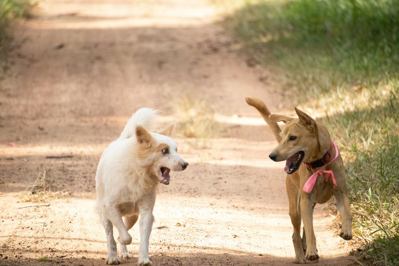 Excitement during small interactions