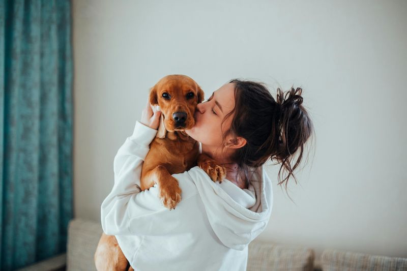 18 Everyday Habits That Lead to a Happier, Healthier Dog 18 Regular Affection