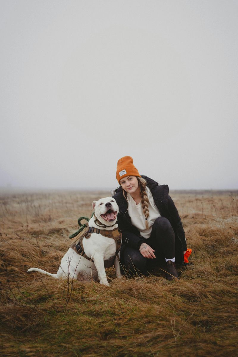 10 surprising facts that reveal the true nature of American Bulldogs 10 Thrive with confident owners