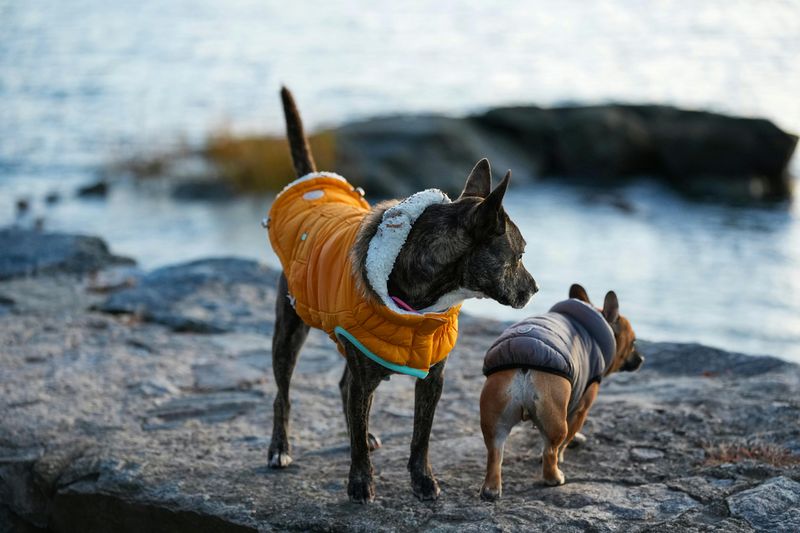 Use Warm Compresses During Cold Weather