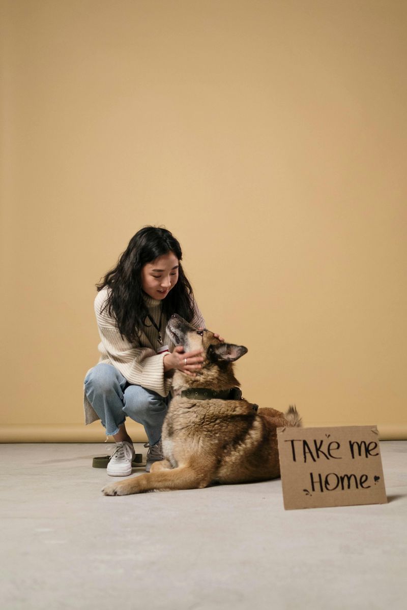 19 Dog Behaviors That Show How Well They Understand Human Emotions 17 Showing empathy when owners are in distress