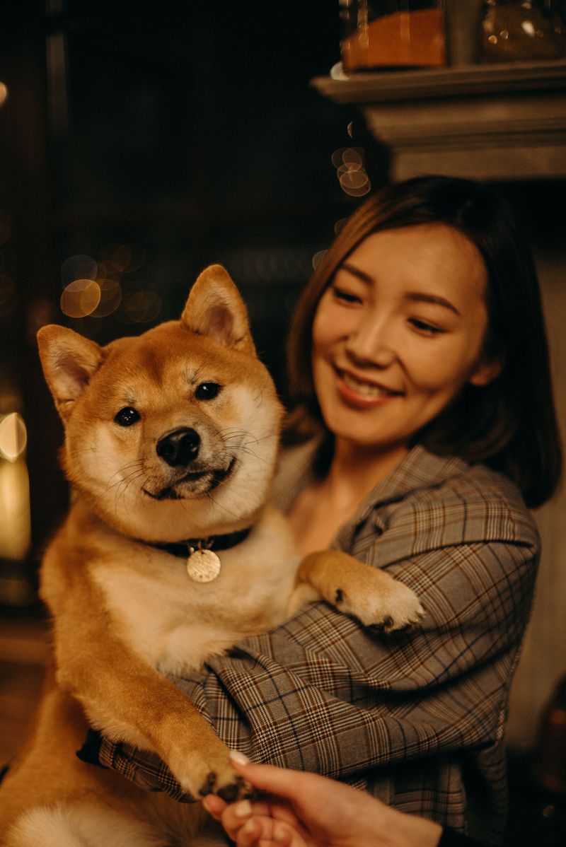 One person and the right dog can make a surprisingly complete household 5 Shiba Inu