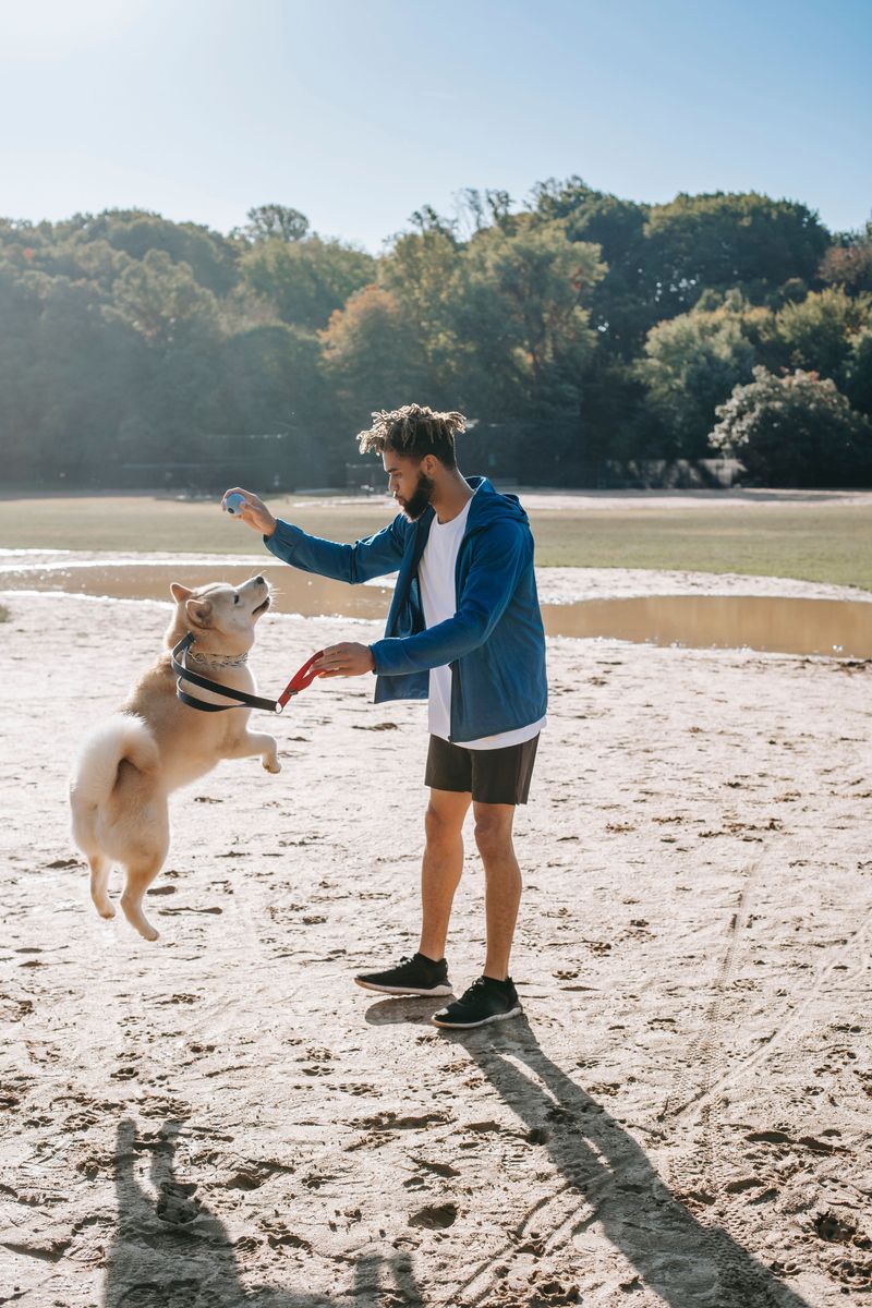 If walks feel stressful, one of these 11 mistakes could be the reason 7 Not providing enough exercise