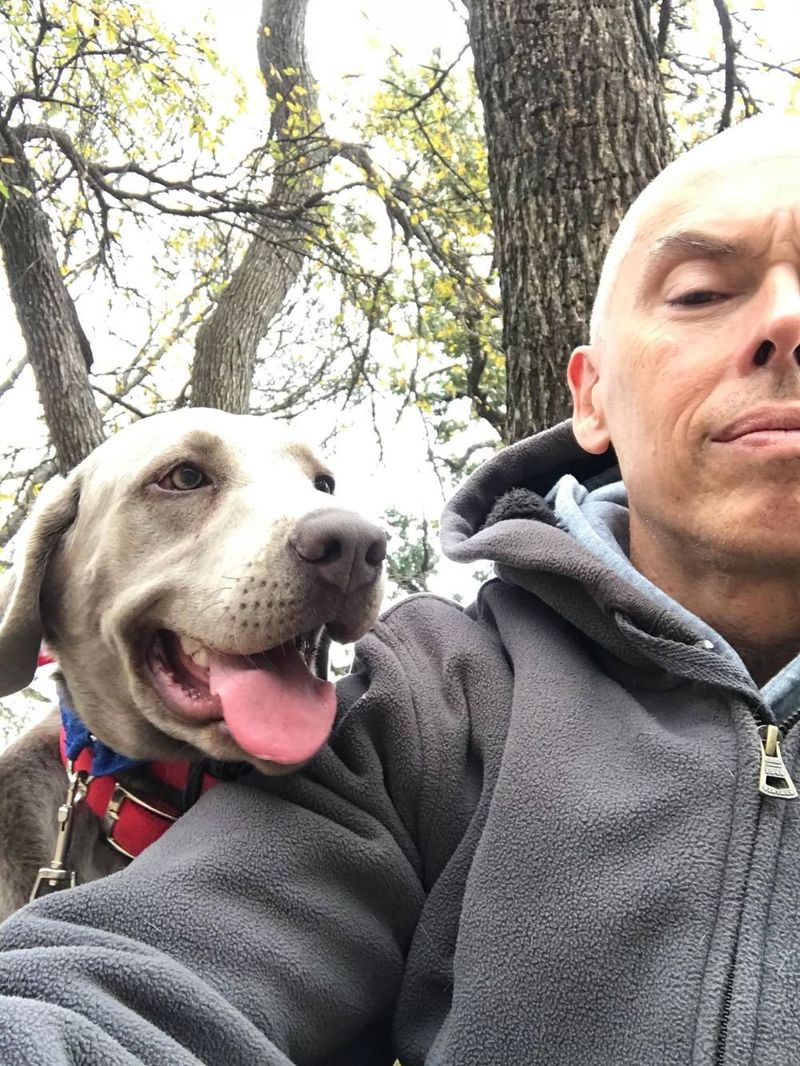 18 Quiet Ways Dogs Show Loyalty That Most Owners Completely Miss 19 Choosing You Over Food in Unfamiliar Places