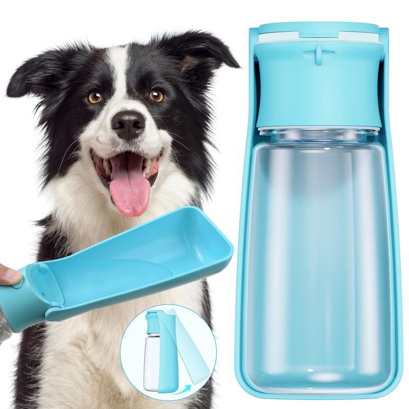 Travel Water Bottle