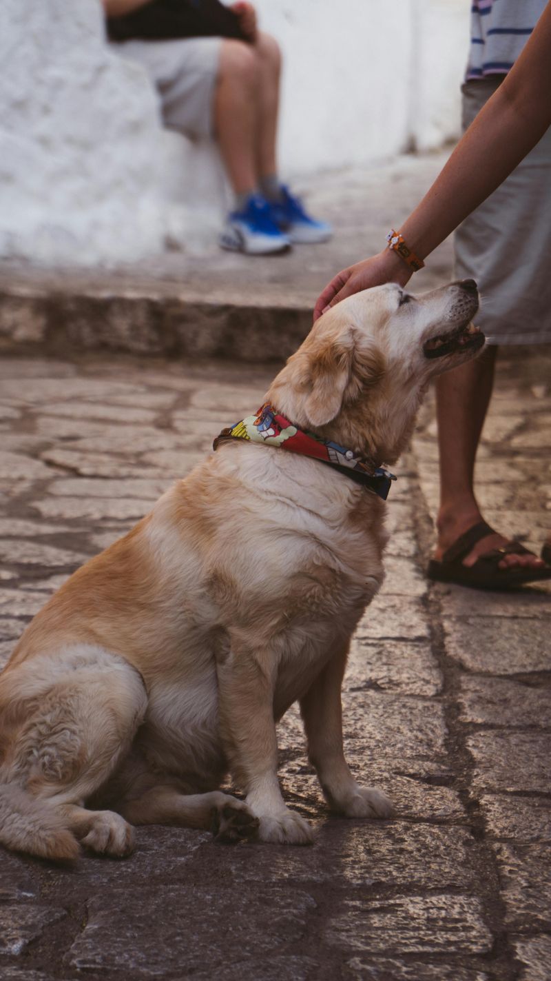 Ignoring positive behavior