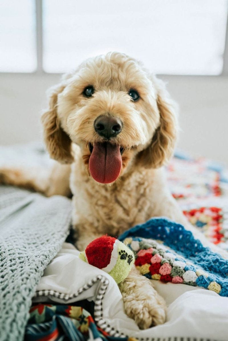 Acting out or misbehaving