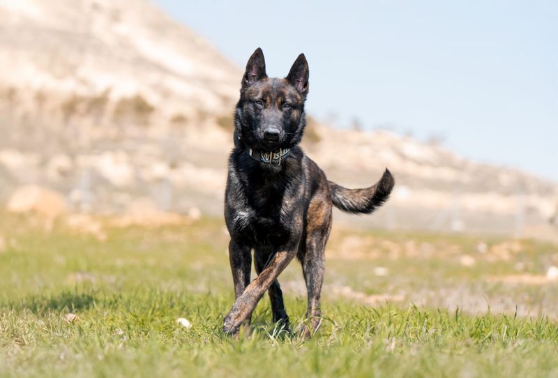 Versatility in Modern Work