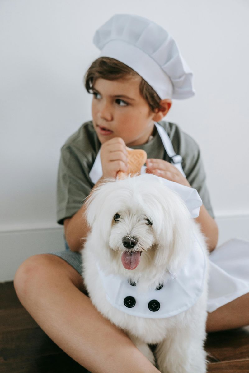 13 dog breeds known for reliable off-leash behavior 14 Havanese