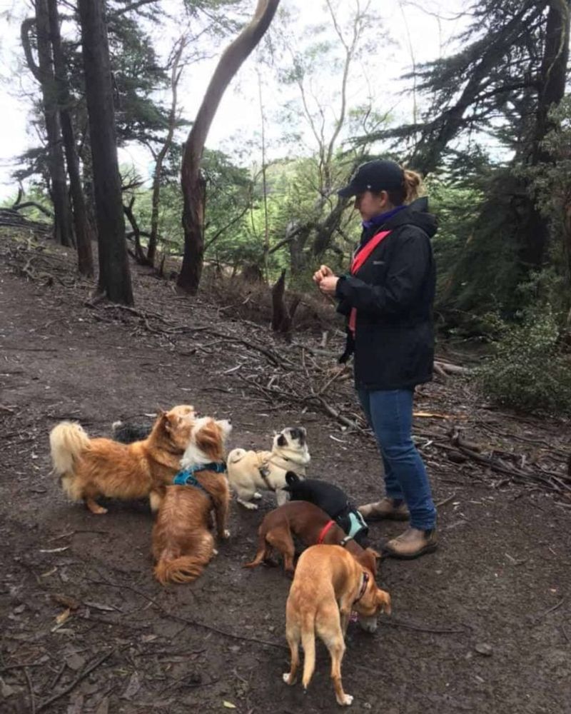 19 Meaningful Ways Dogs Help Improve Our Emotional Health 11 Boosting Social Connections During Walks