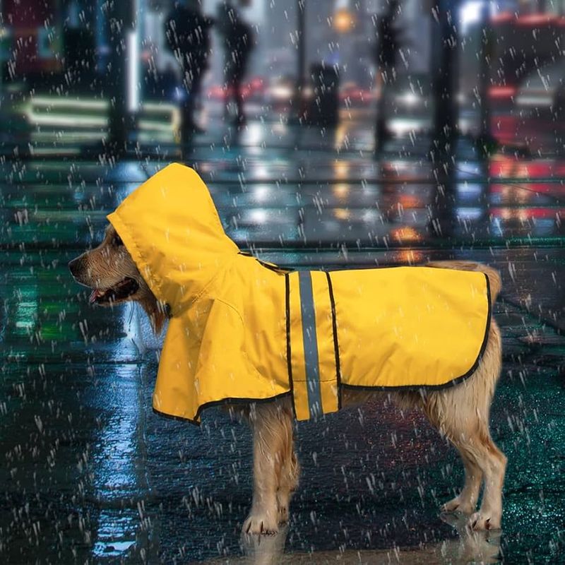 Reflective Raincoat